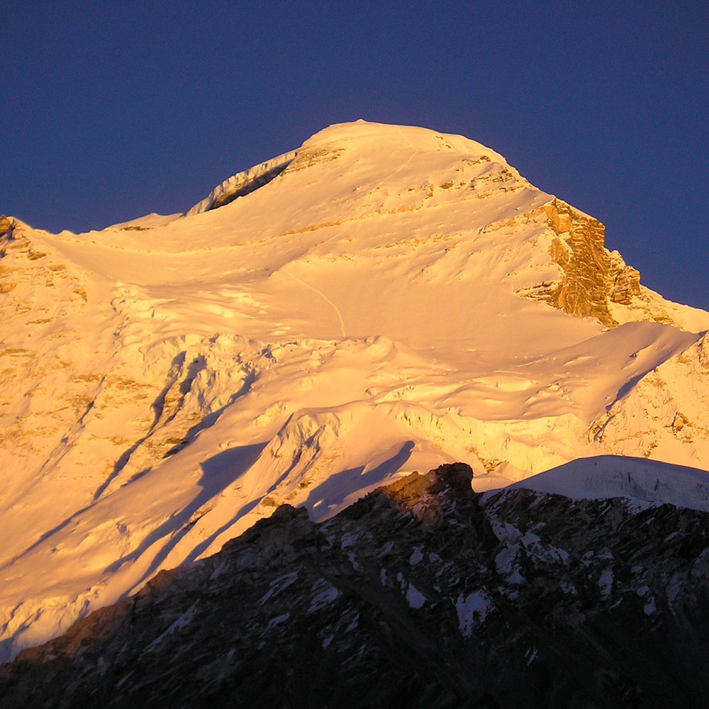 CHO OYU